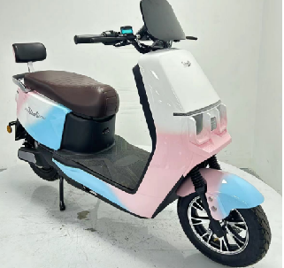 Niu11