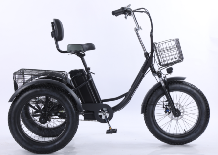 20-inch ballet snow lithium tricycle