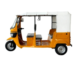 Tricycle with canopy